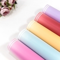 Плёнка 80024 59 см 800 г